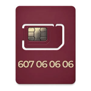Złoty numer 607 06 06 06, prefiks sieci Plus