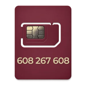 Złoty numer 666 220 333 T-mobile 608 267 608 Złoty numer 608 T-Mobile z klasyczną ramą