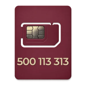Złoty numer 500 069 009 przejrzysty Złoty numer 500 113 313