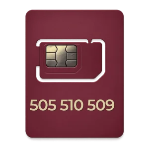 Złoty numer 500 069 009 przejrzysty Złoty numer 505 510 509 prefiks 505
